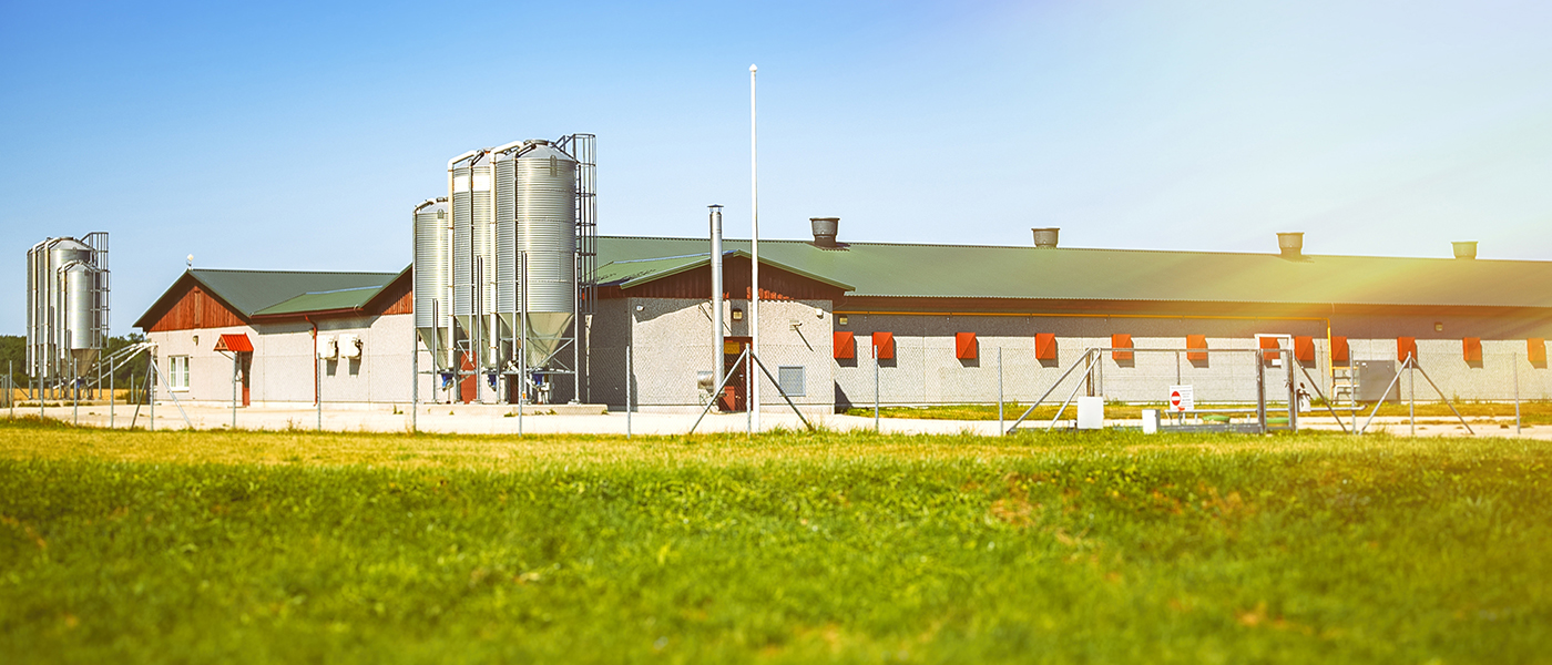 Agricultural livestock barn with silos and in green field professional electrical installation services for farm buildings